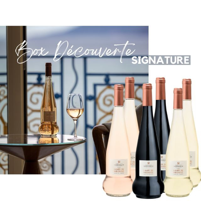 BOX SIGNATURE LAMPE DE MDUSE 3 COULEURS (6x75cl)