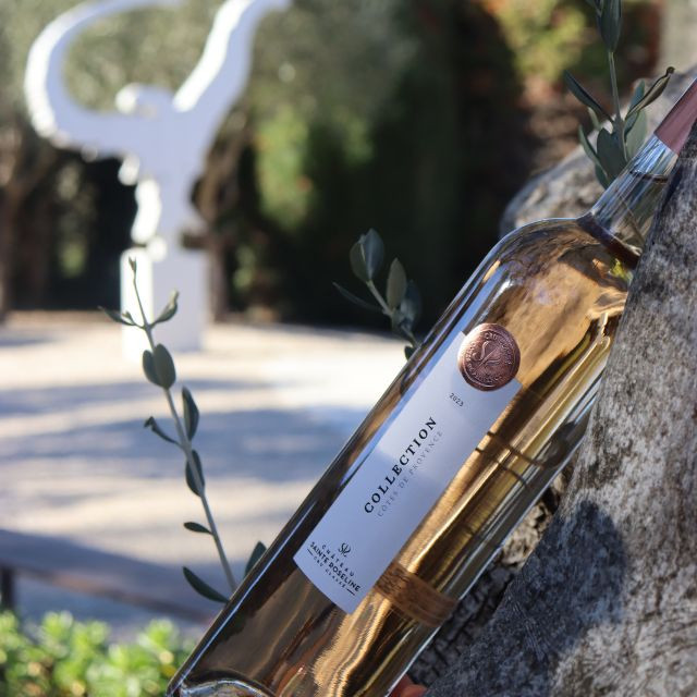 Collection - Ros� 2025