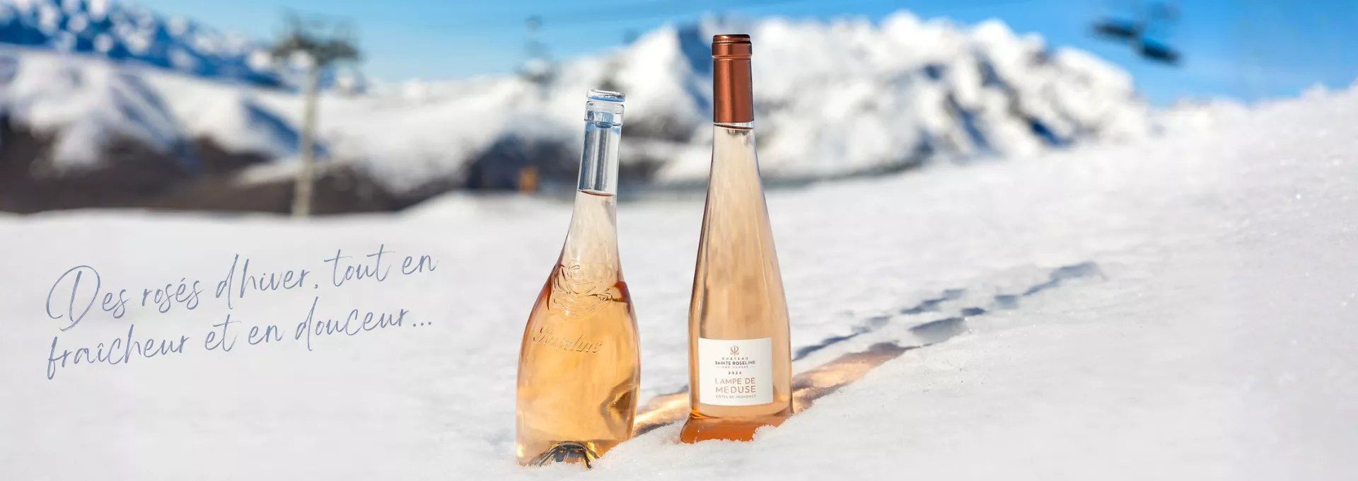 Rosé d'hiver : Lampe de Méduse